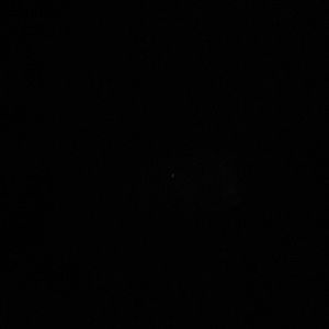 Meet your Posher, Tunya